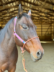Made to Order: Nylon & Lariat Nose Halter