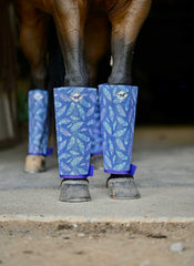 Buzz Off Fly Boots: Galaxy Feathers