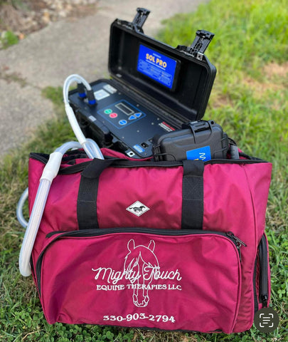 CUSTOM WhinneyOrganizer Bag: Rectangle Style