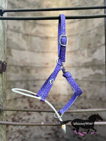 Purple Leopard/Lariat Nose Halter