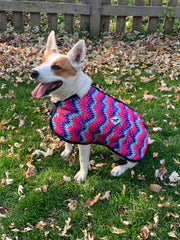 Made to Order: Winter Dog Jacket