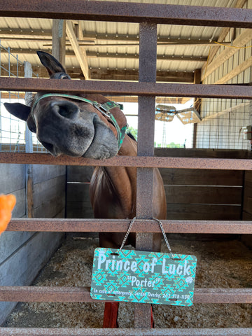 WhinneyWear Stall Sign